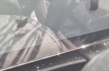 DONGFENG Mage