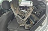 KIA RIO X-Line