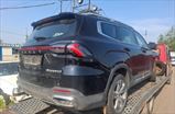 GEELY OKAVANGO