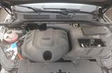 Belgee X70